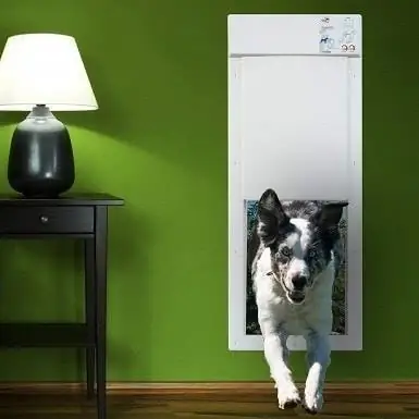 6 Pinakamahusay na Electronic Dog Doors ng 2023 – Mga Review & Gabay