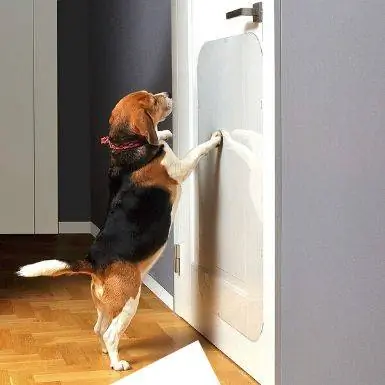 PETFECT Door Scratch Protector