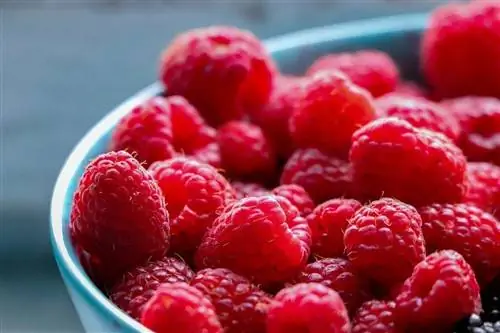 raspberry