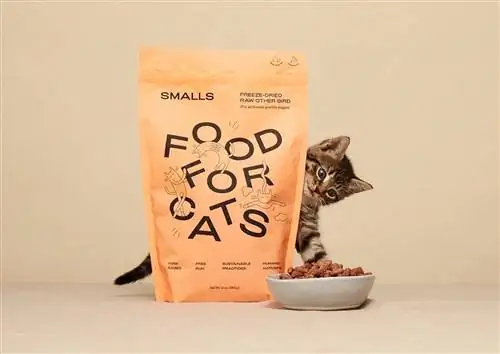 Smalls Fresh Cat Food Şirin pişik ilə qurudulur