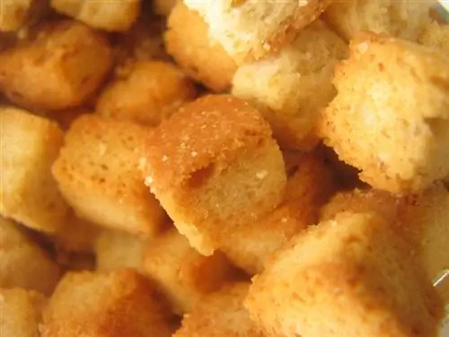 crouton closeup