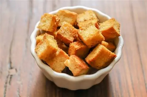 Cov dev puas noj croutons? Lawv noj qab haus huv los yog tsis noj qab haus huv li cas?