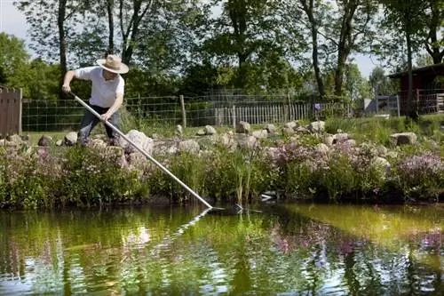 Teich reinigen