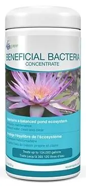 Aquascape 98949 Beneficial Bacteria Concentrate para sa Pond at Water Features