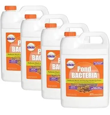 Bacterias para estanques PondWorx