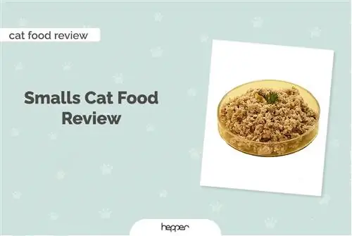 Smalls Cat Food Review 2023 – Voordele, Nadele & Uitspraak