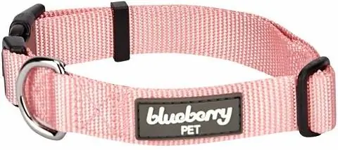 Blueberry Pet