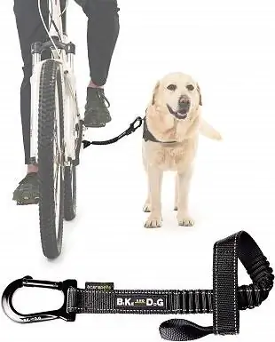 BICI E CANE