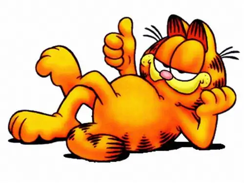 GARFIELD, kaķis, multfilma, kaķēns