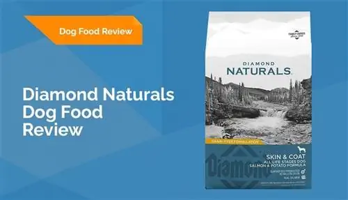 Diamond Naturals Hundfoderrecension 2023: Återkallelser, fördelar & Nackdelar