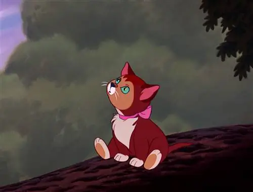 Kucing Seperti Apa Dinah Dari Alice in Wonderland? Ras Kucing Terkenal Terungkap