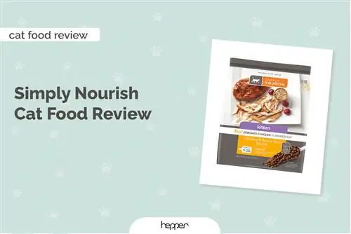 Ulasan Makanan Kucing Simply Nourish 2023: Pilihan Teratas, Pro & Kontra