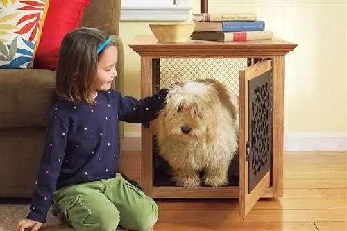 Come tenere occupato un cane in una gabbia: 10 fantastiche idee