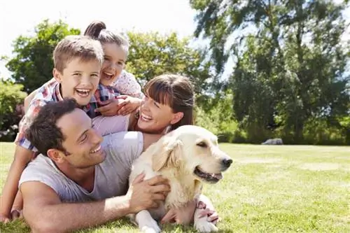 familie avslappende I hagen med hund