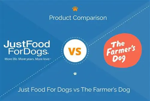 Just Food For Dogs vs The Farmer's Dog - Que dois-je choisir ?