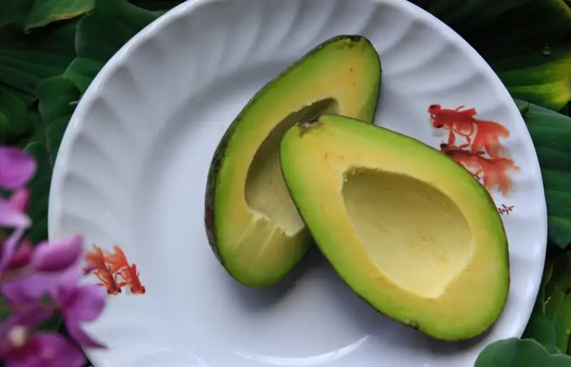 avocado dimezzato su un piatto