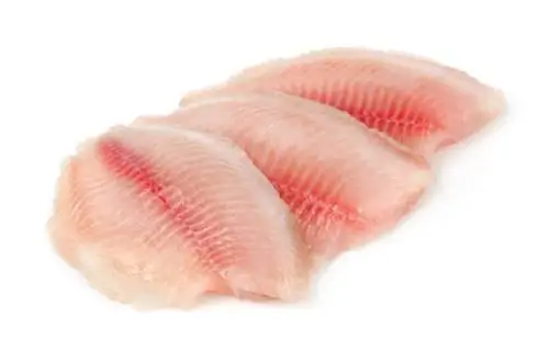 verse rauwe tilapia visfilet