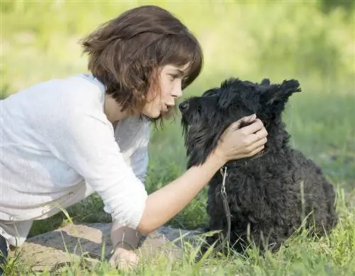 bayi perempuan berbicara dengan anjing hitam