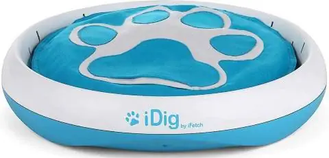 Brinquedo para cães iFetch iDig Stay