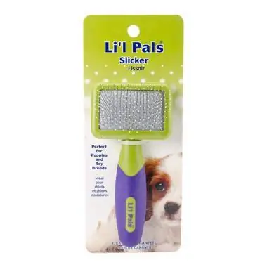 Li'l Pals W6202 Zupfbürste für Hunde