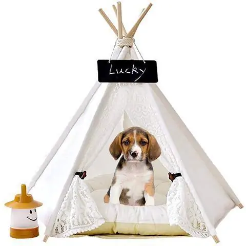 Zaihe Pet Teepee Bed