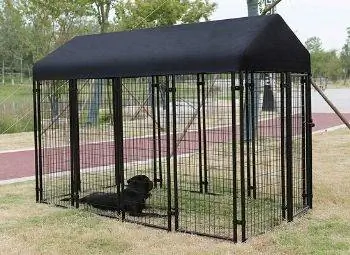 10 Pinakamahusay na Outdoor Dog Kennel noong 2023 – Mga Review & Mga Nangungunang Pinili