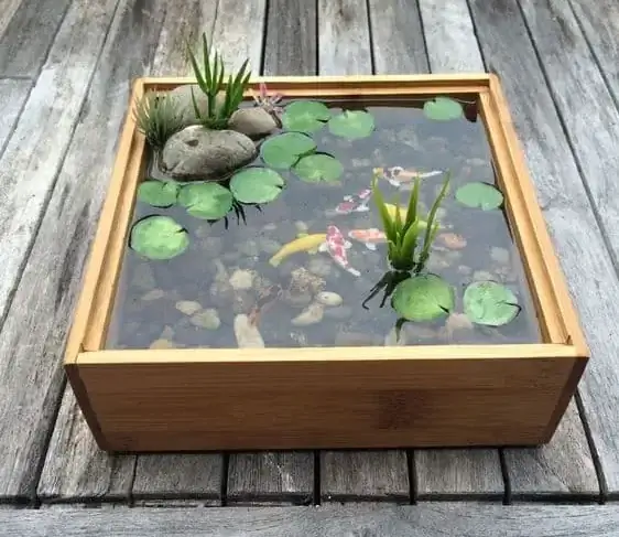 mini koi tvenkinys