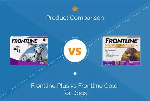 Frontline Plus vs Frontline Kub rau dev: Qhov twg zoo dua?