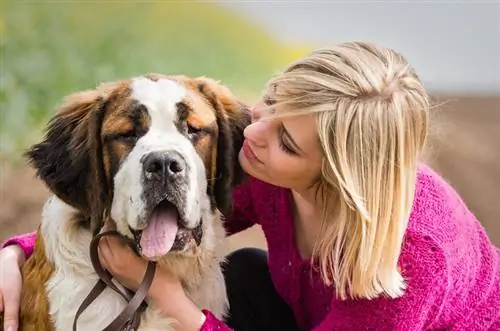 Hvorfor bukser min hund så meget? 7 dyrlægeanmeldte grunde