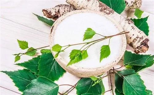 un bol de xylitol avec une branche de feuilles sur une surface en bois