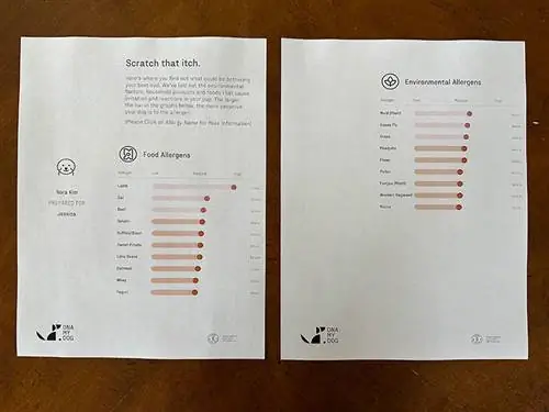 Ergebnisse des Hundeallergietests von DNA meines Hundes