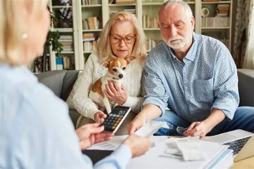 stel met een hond die een huisdierenverzekering afsluit