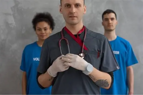 medic veterinar și doi voluntari