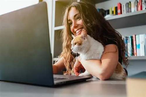 boldog fiatal kaukázusi nő a macskájával, otthon laptop segítségével