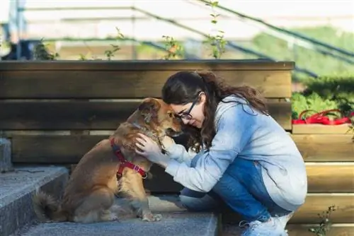 Fille avec chien de soutien émotionnel