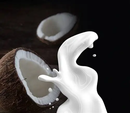 coconut-milk-pixabay