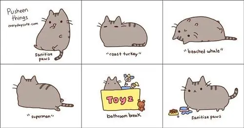 أشياء pusheen