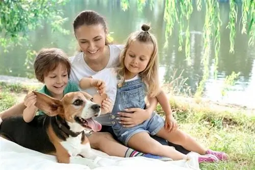 glückliche-familie-mit-beagle_Pixel-Shot_shutterstock