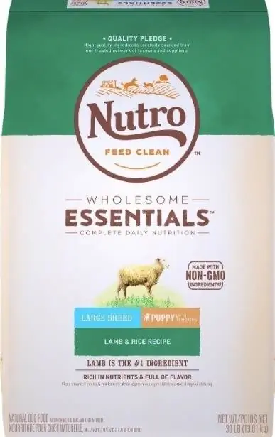 Nutro Wholesome Essentials