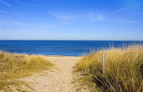 Norfolk Beach Virciniya