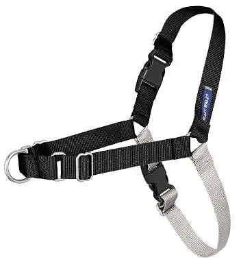 Harness Anjing PetSafe Easy Walk