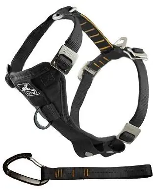 Harness Cerdas Kurgo Tru-Fit