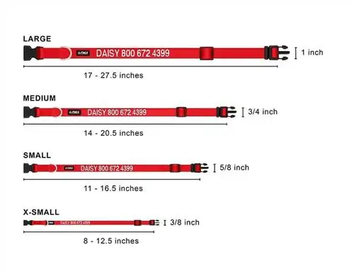 taglia del collare per cani