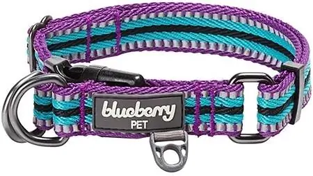 Blueberry Pet 3M reflekterande hundhalsband