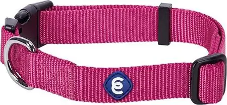 Blueberry Pet Essentials Klassiskt hundhalsband