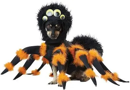 3 Trajes da Califórnia para animais de estimação fantasia de cachorro de aranha