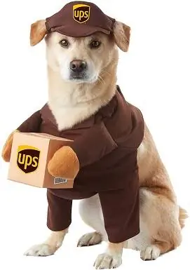 6 trajes da Califórnia Pet Ups traje de cachorro amigo