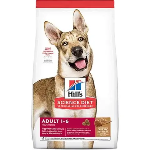 Hill's Science Diet Recette de farine d'agneau et de riz brun pour adultes Croquettes sèches pour chiens