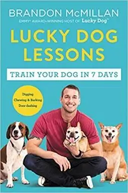 6Lucky Dog-lessen