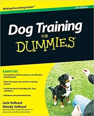 10Hundetraining für Dummies